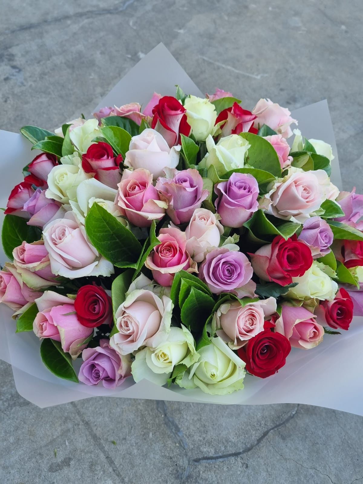 The Not Just Another Bunch